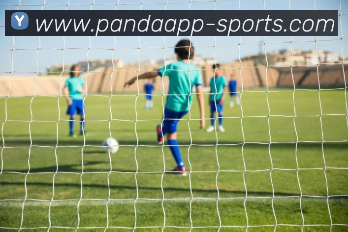 互动解说服务