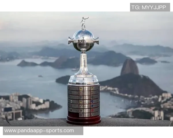 自2019年起巴西球队连续称霸南美解放者杯今年冠军已然确定